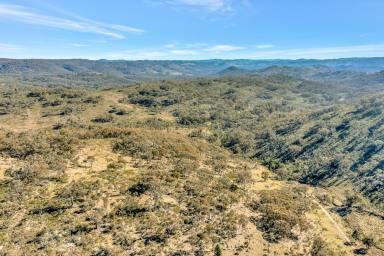 Lifestyle For Sale - NSW - Mudgee - 2850 - "LITTLE BRAEBURN" – A RURAL ESCAPE OF IMPRESSIVE SCALE  (Image 2)
