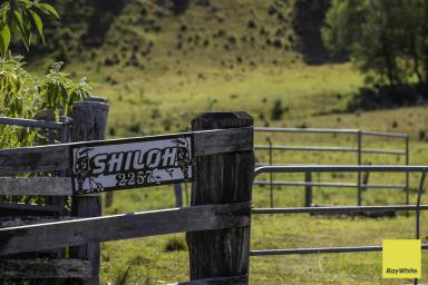 Lifestyle For Sale - NSW - Wards River - 2422 - Tucked Away Up The Valley (Image 2)