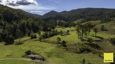 Lifestyle For Sale - NSW - Wards River - 2422 - Tucked Away Up The Valley (Image 2)