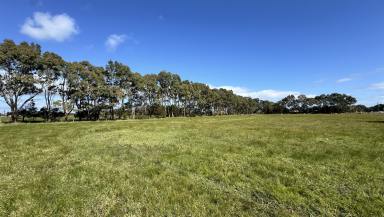 Residential Block For Sale - SA - Penola - 5277 - Four Exceptional Lifestyle Allotments – Minutes from Town  (Image 2)