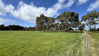 Residential Block For Sale - SA - Penola - 5277 - Four Exceptional Lifestyle Allotments – Minutes from Town  (Image 2)