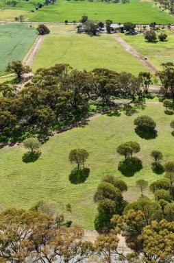 Residential Block For Sale - WA - Daliak - 6302 - Development Potential on York's Western Edge  (Image 2)