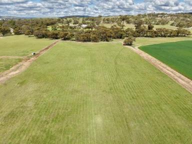 Residential Block For Sale - WA - Daliak - 6302 - Development Potential on York's Western Edge  (Image 2)