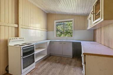 Acreage/Semi-rural For Sale - QLD - Wilsons Pocket - 4570 - Bushland Acreage & Renovator's Opportunity (Image 2)