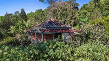 Acreage/Semi-rural For Sale - QLD - Wilsons Pocket - 4570 - Bushland Acreage & Renovator's Opportunity (Image 2)