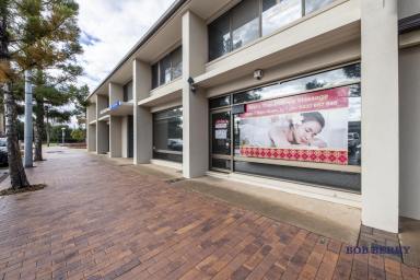 Other (Commercial) Auction - NSW - Dubbo - 2830 - Vacant Retail/Office Premises | Invest or Occupy in Prime CBD Location  (Image 2)