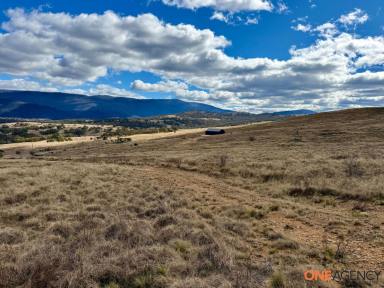 Residential Block For Sale - NSW - Bredbo - 2626 - Open Space & Endless Possibilities  (Image 2)