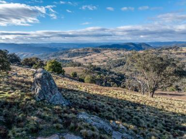 Mixed Farming For Sale - NSW - Bigga - 2583 - LARGE HOLDING AT BIGGA (Image 2)