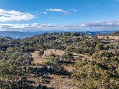 Mixed Farming For Sale - NSW - Bigga - 2583 - LARGE HOLDING AT BIGGA (Image 2)