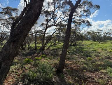 Residential Block For Sale - SA - Sandleton - 5356 - Off-Grid sanctuary on 151 hectares (373 Ac) across 2 Titles. Peace, nature and views. (Image 2)