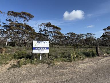 Residential Block For Sale - SA - Sandleton - 5356 - Off-Grid sanctuary on 151 hectares (373 Ac) across 2 Titles. Peace, nature and views.  (Image 2)
