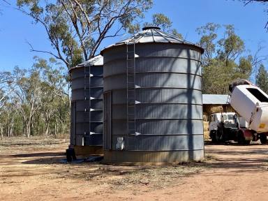 Mixed Farming For Sale - NSW - Gilgandra - 2827 - 1,350 ACRES | 650 ACRES ARABLE | 24" RAINFALL | MIXED FARMING | GRAZING (Image 2)