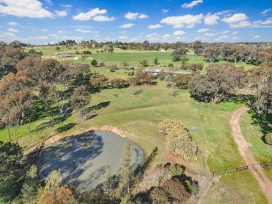House For Sale - NSW - Young - 2594 - Ready to Enjoy  (Image 2)