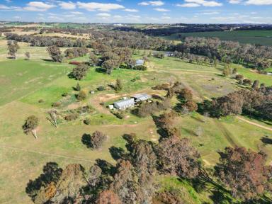 House For Sale - NSW - Young - 2594 - Ready to Enjoy  (Image 2)