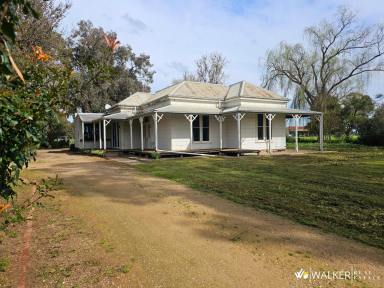 Lifestyle For Sale - VIC - Nanneella - 3561 - Country Homestead Charm with Modern Comforts (Image 2)