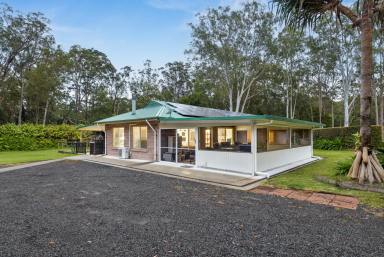 Acreage/Semi-rural For Sale - QLD - Cootharaba - 4565 - Noosa Hinterland Acreage - Close to Lake Cootharaba (Image 2)