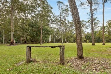 Acreage/Semi-rural For Sale - QLD - Cootharaba - 4565 - Noosa Hinterland Acreage - Close to Lake Cootharaba (Image 2)
