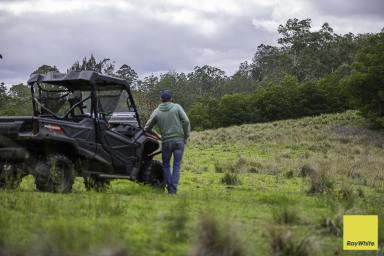 Lifestyle For Sale - NSW - Bingleburra - 2311 - 2,404ac Across 18 Titles - Prime Hunter Valley Grazing, 5 Minutes to East Gresford (Image 2)