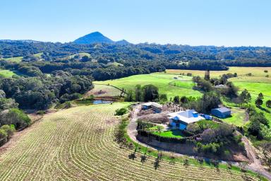 Acreage/Semi-rural For Sale - QLD - Eerwah Vale - 4562 - 16 Acres. An Iconic Past. An Extraordinary Future.  (Image 2)