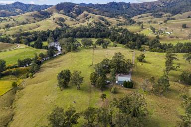 Lifestyle Auction - NSW - Eccleston - 2311 - A RARE ALLYN RIVERFRONT HOLDING (Image 2)