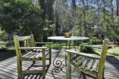 Lifestyle For Sale - NSW - Laguna - 2325 - 'Namaste' - A Hidden Rural Oasis (Image 2)