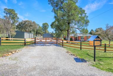 Lifestyle Auction - NSW - Tamworth - 2340 - QUALITY HOME AND INFRASTRUCTURE IN A FIRST CLASS LOCATION  (Image 2)