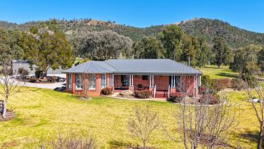 Lifestyle Auction - NSW - Tamworth - 2340 - QUALITY HOME AND INFRASTRUCTURE IN A FIRST CLASS LOCATION  (Image 2)