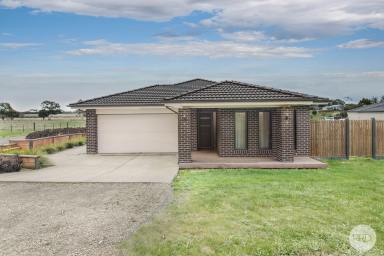 House For Sale - VIC - Haddon - 3351 - Modern Country Living With Serious Shedding (Image 2)