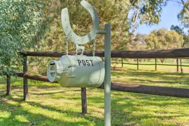 Other (Rural) For Sale - WA - Lower Chittering - 6084 - Worthy Park Stables  (Image 2)