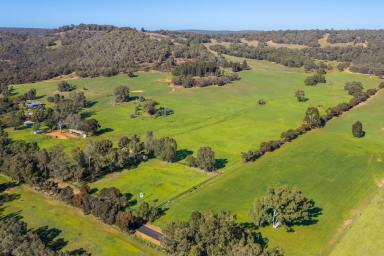Other (Rural) For Sale - WA - Lower Chittering - 6084 - Worthy Park Stables  (Image 2)