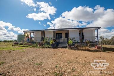 Lifestyle For Sale - NSW - Bonshaw - 2361 - Lifestyle Meets Productivity  (Image 2)