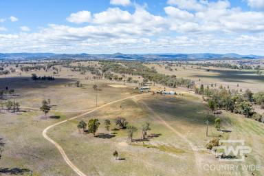 Lifestyle For Sale - NSW - Bonshaw - 2361 - Lifestyle Meets Productivity  (Image 2)