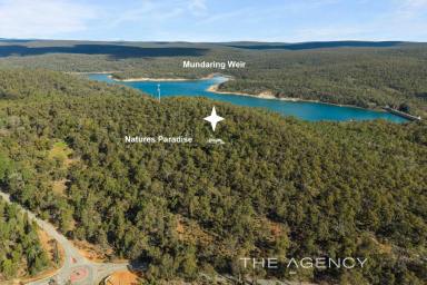 House For Sale - WA - Mundaring - 6073 - "Nature's Paradise" - A Life, A Lifestyle & A Living - All in One Extraordinary Place (Image 2)