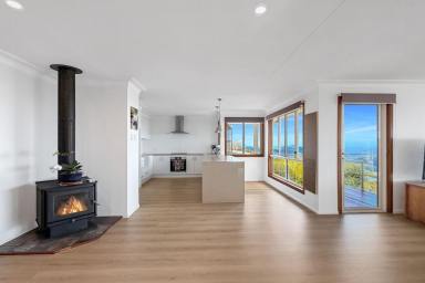 House For Sale - QLD - Maleny - 4552 - Above It All – Panoramic Views from Ocean to Hinterland  (Image 2)