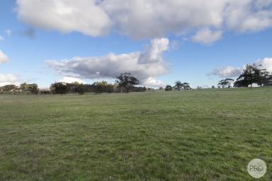 Residential Block For Sale - VIC - Ross Creek - 3351 - A Picturesque Country Escape With Mount Buninyong Views  (Image 2)