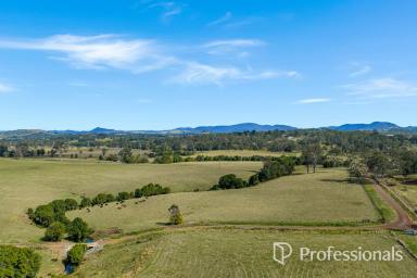 Residential Block For Sale - QLD - The Dawn - 4570 - Rural Land On The Outskirts Of Gympie  (Image 2)