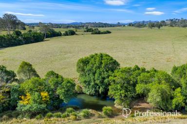 Residential Block For Sale - QLD - The Dawn - 4570 - Rural Land On The Outskirts Of Gympie  (Image 2)