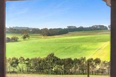Lifestyle Sold - VIC - Barrabool - 3221 - Proper Country - Blue Ribbon Position  (Image 2)