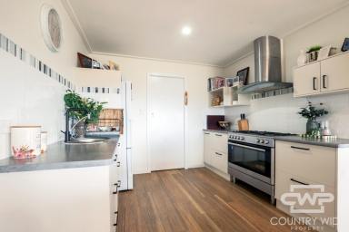 House For Sale - NSW - Emmaville - 2371 - Stunning Valley Views & Renovated Country Home  (Image 2)