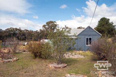 House For Sale - NSW - Emmaville - 2371 - Charming Country Cottage  (Image 2)
