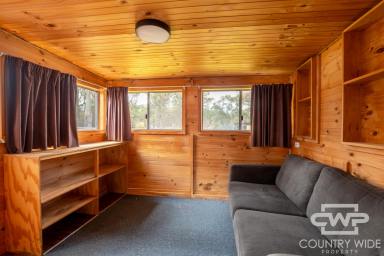 House For Sale - NSW - Emmaville - 2371 - Charming Country Cottage  (Image 2)