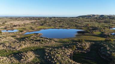 Lifestyle For Sale - VIC - Dreeite - 3249 - THE DUCKHOLES - TRUST FOR NATURE FREEHOLD LAND  (Image 2)