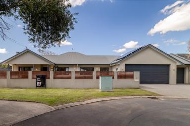 House For Sale - WA - South Bunbury - 6230 - Character, Space and Exceptional Potential  (Image 2)