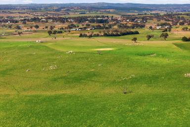 Mixed Farming For Sale - NSW - Gunning - 2581 - UNIQUE RURAL LIFESTYLE WITH SUBDIVISION POTENTIAL  (Image 2)