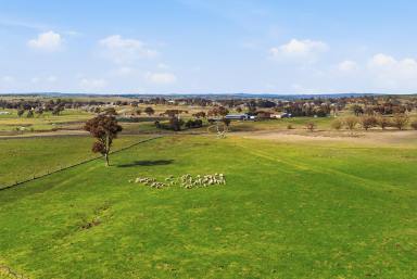 Mixed Farming For Sale - NSW - Gunning - 2581 - UNIQUE RURAL LIFESTYLE WITH SUBDIVISION POTENTIAL  (Image 2)