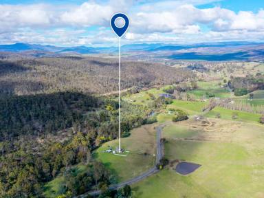 House For Sale - TAS - Fentonbury - 7140 - Rural Lifestyle Retreat on Almost 6 Acres  (Image 2)