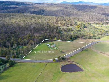 House For Sale - TAS - Fentonbury - 7140 - Rural Lifestyle Retreat on Almost 6 Acres  (Image 2)