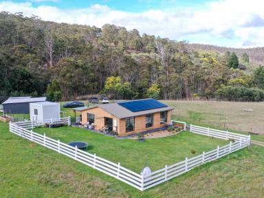 House For Sale - TAS - Fentonbury - 7140 - Rural Lifestyle Retreat on Almost 6 Acres  (Image 2)