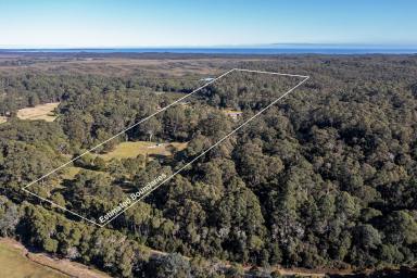 House For Sale - TAS - Strahan - 7468 - Lifestyle, space, privacy and tranquility  (Image 2)