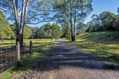 House For Sale - TAS - Strahan - 7468 - Lifestyle, space, privacy and tranquility  (Image 2)
